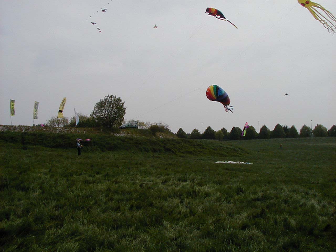 P5080008