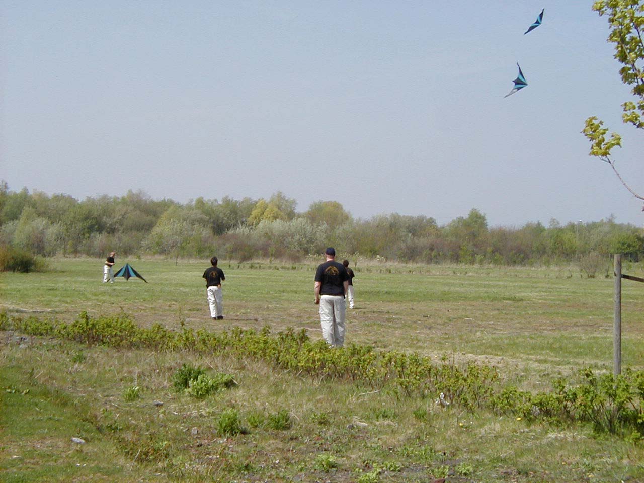 P4210005