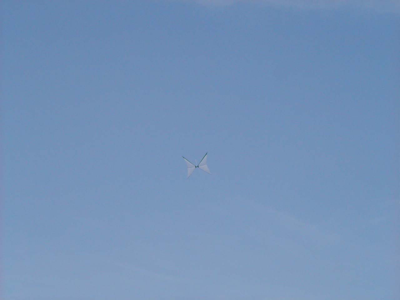 P4210033