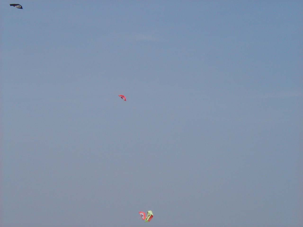 P4210042
