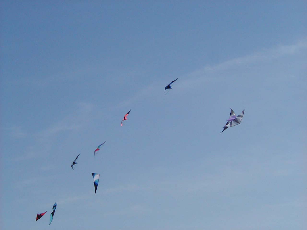 P5190045