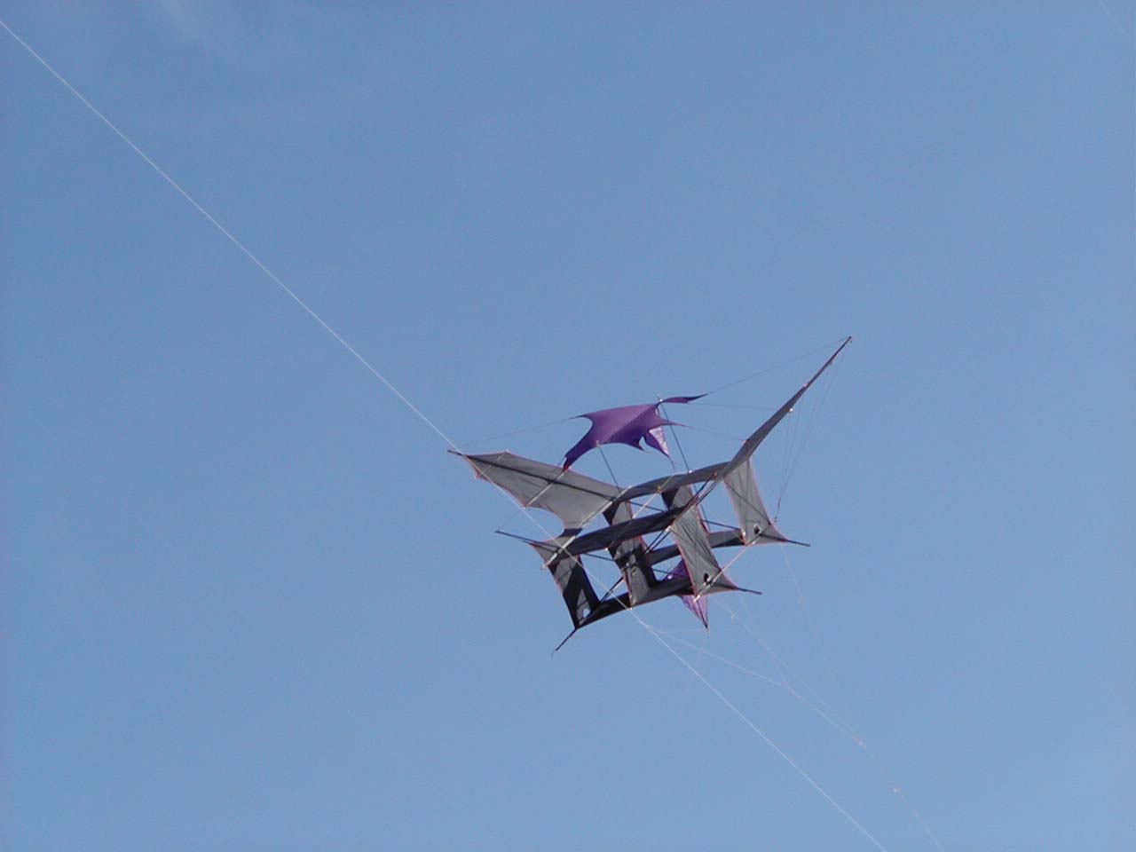 P5190051